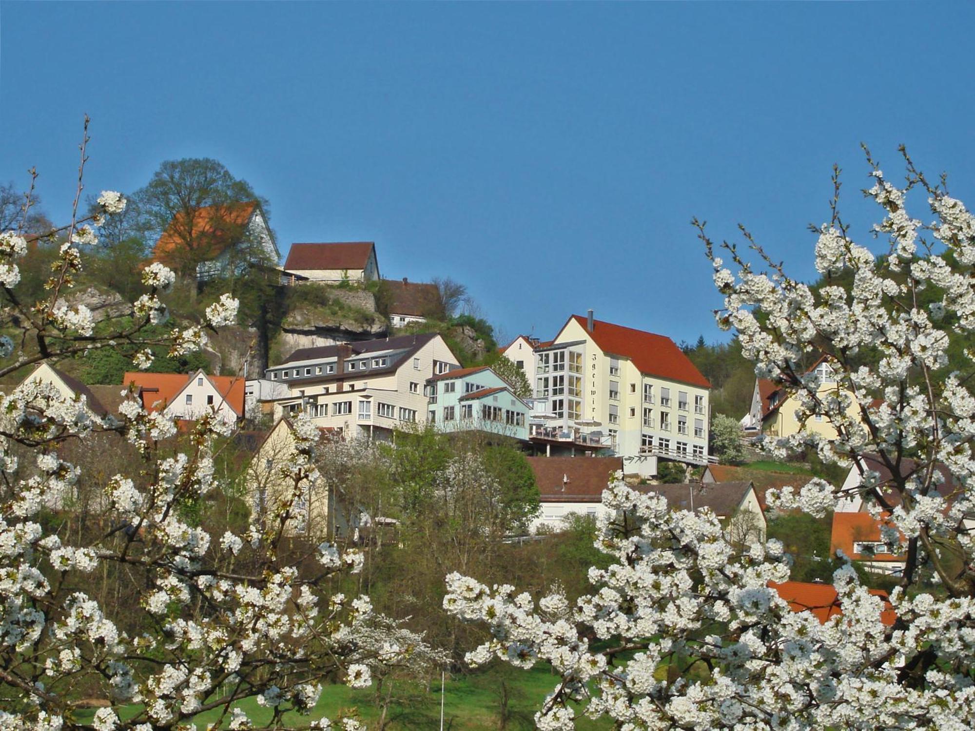 Berggasthof Hotel Igelwirt Schnaittach Extérieur photo